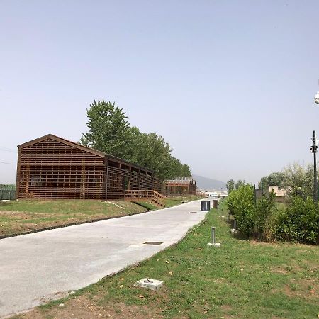 Bnb Nonna Maria Poggiomarino Exterior foto